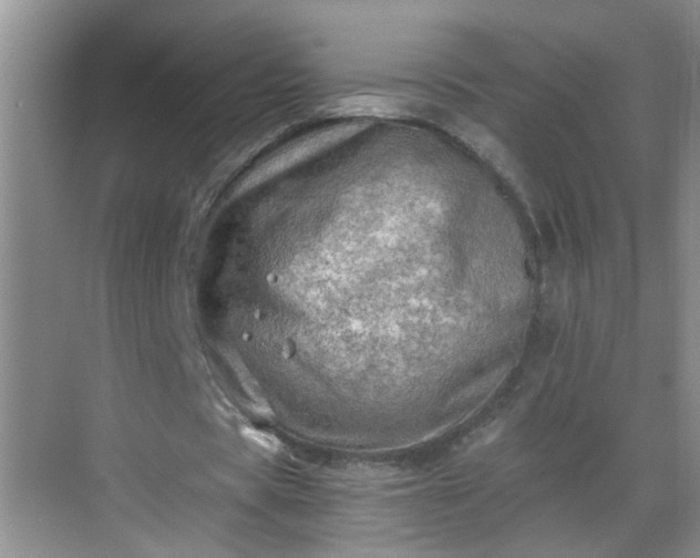 X0000068750529200605051542