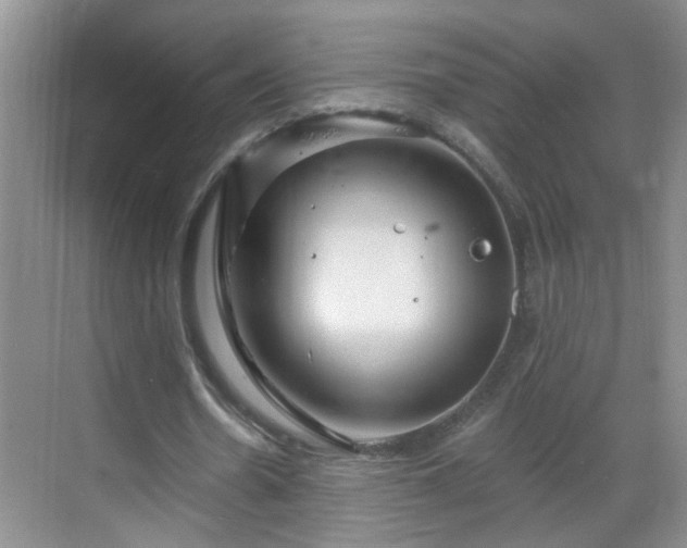 X0000068750530200605051542