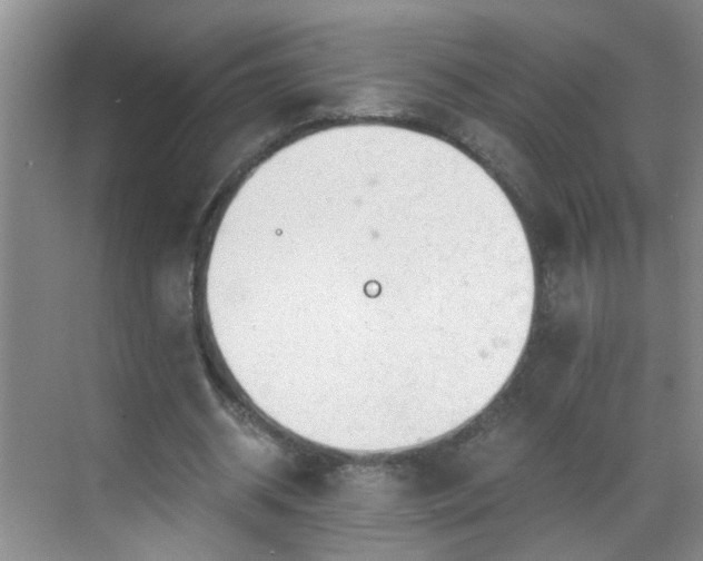 X0000068750534200605051542