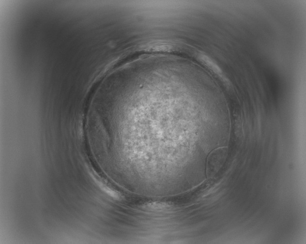 X0000068750537200605051542