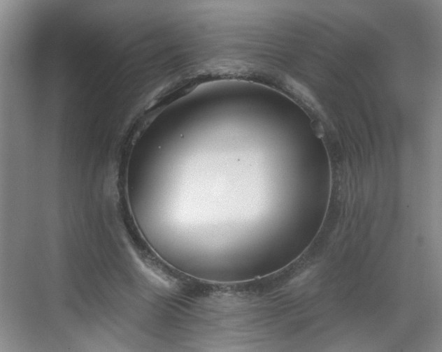 X0000068750538200605051542