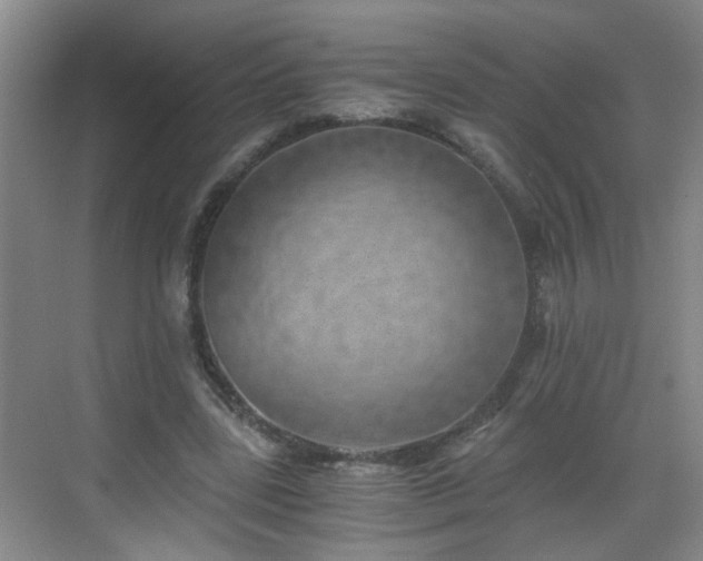 X0000068750539200605051542