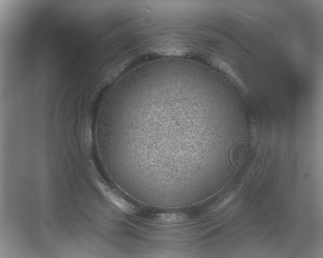 X0000068750541200605051542