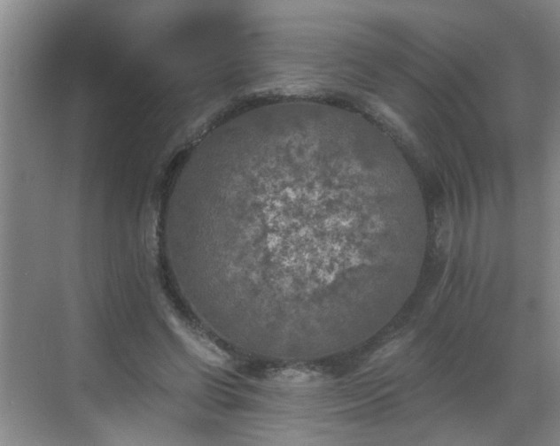 X0000068750542200605051542