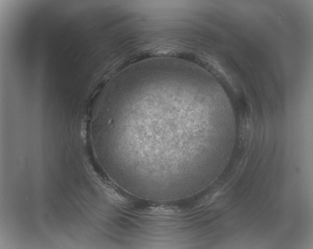 X0000068750545200605051542