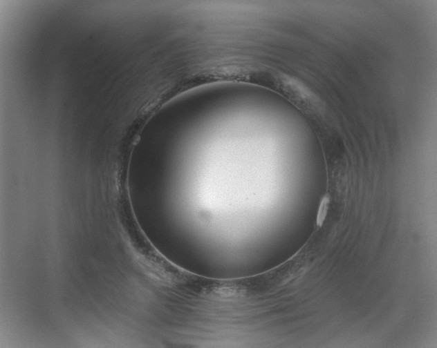 X0000068750546200605051542