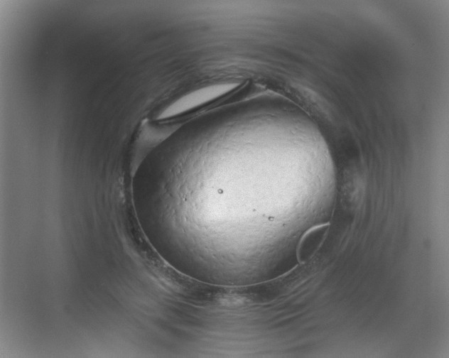 X0000068750547200605051542