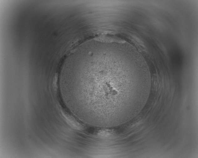 X0000068750550200605051543