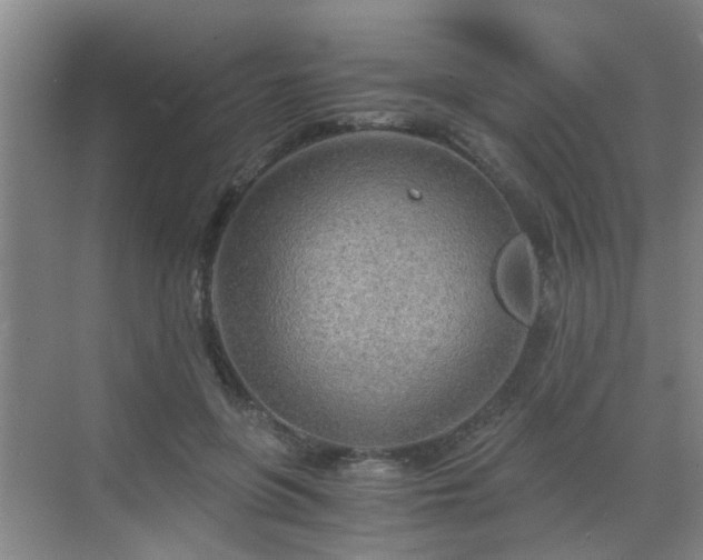 X0000068750551200605051543