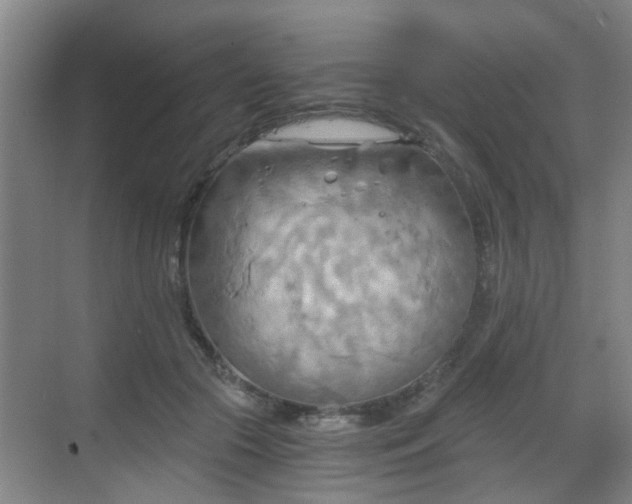 X0000068750553200605051543