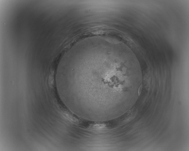 X0000068750554200605051543