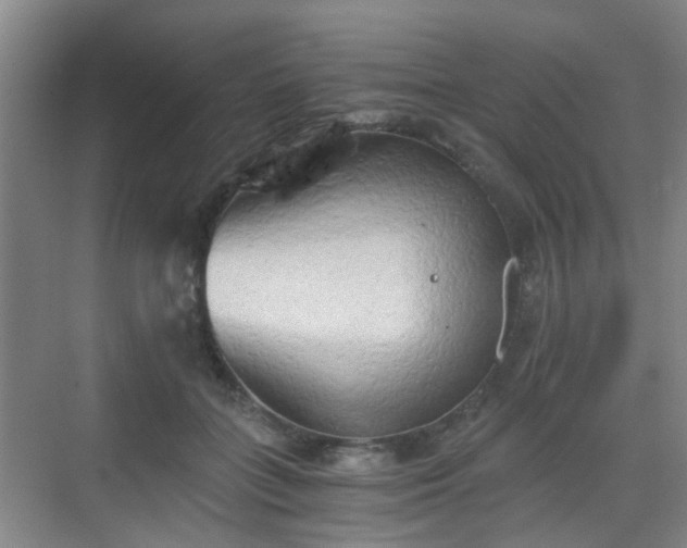 X0000068750555200605051543