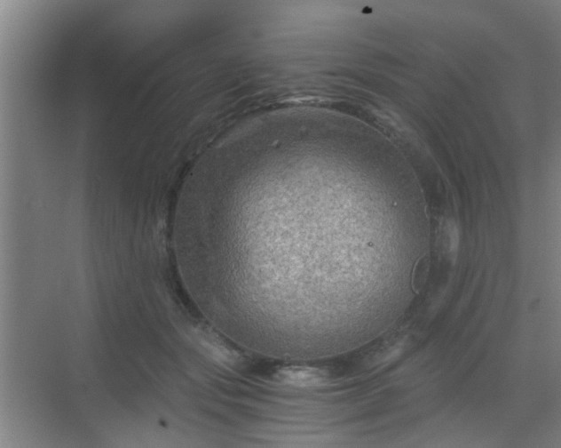 X0000068750557200605051543