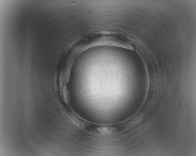 X0000068750558200605051543