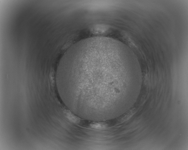 X0000068750561200605051543