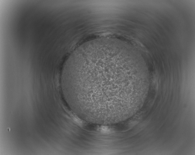 X0000068750565200605051543