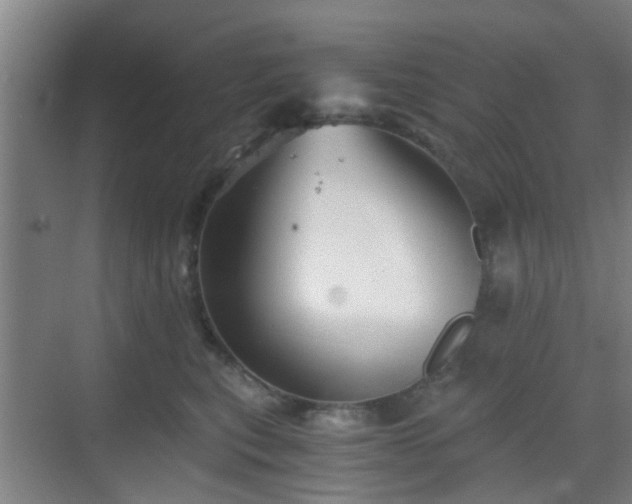 X0000068750567200605051543