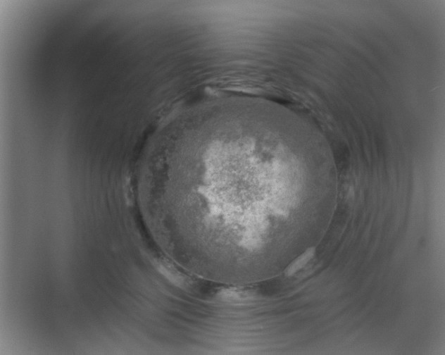 X0000068750568200605051543