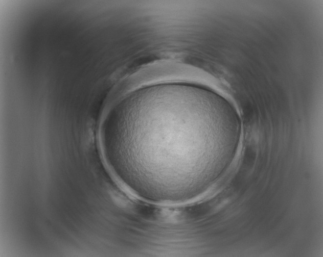 X0000068750570200605051543