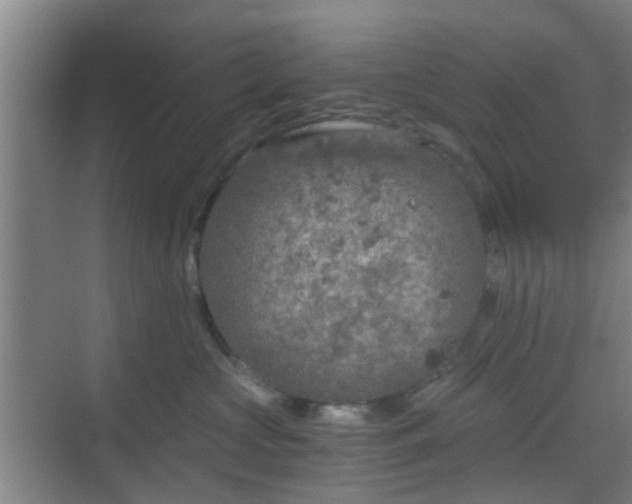 X0000068750573200605051543