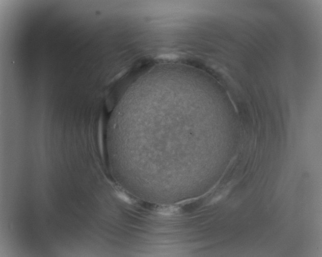 X0000068750576200605051543