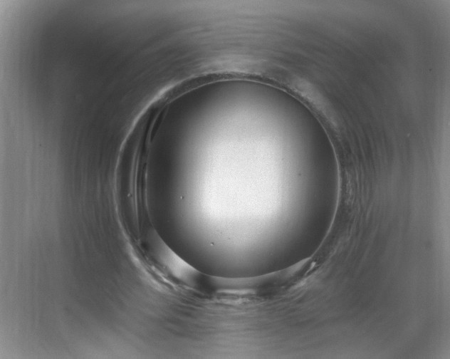 X0000068750580200605051542