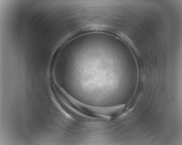 X0000068750581200605051542