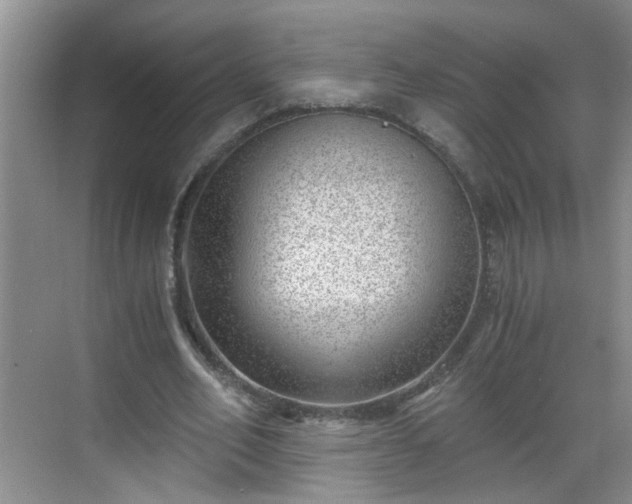 X0000068750582200605051542