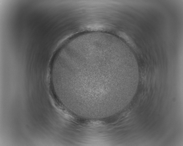 X0000068750583200605051542