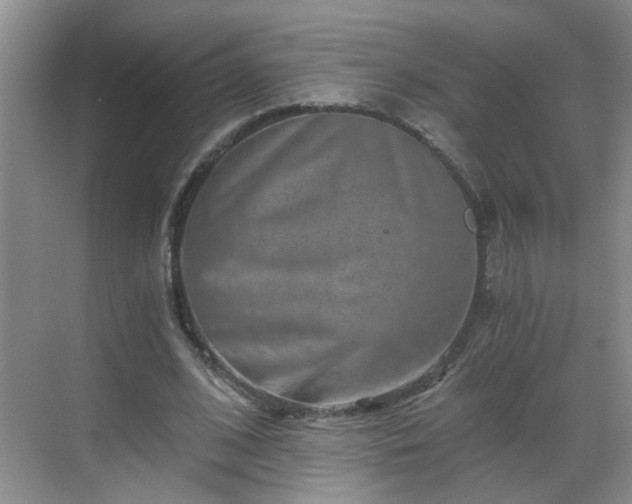 X0000068750584200605051542