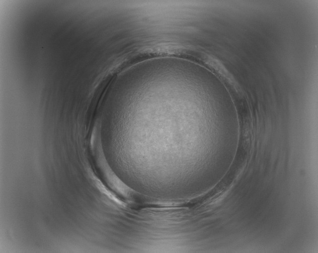 X0000068750585200605051542