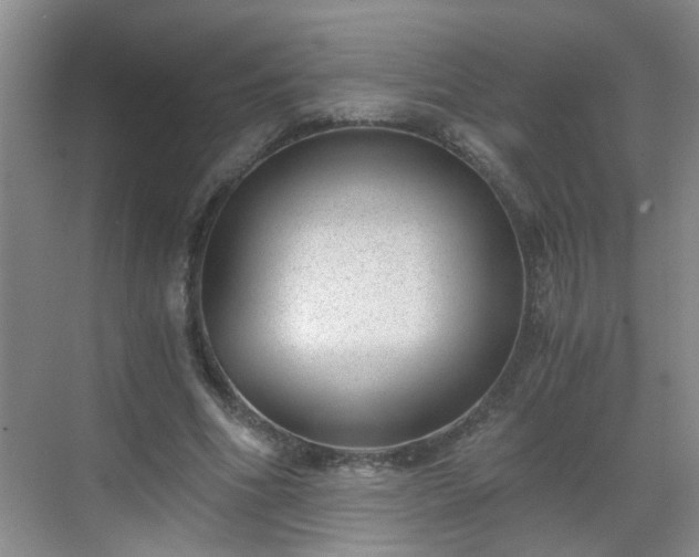 X0000068750586200605051542