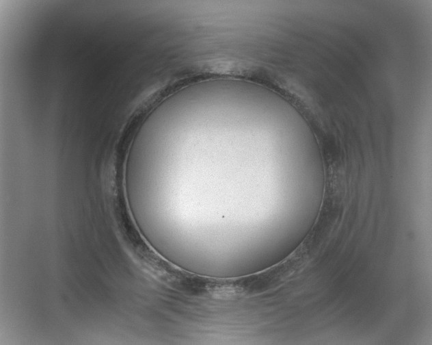 X0000068750587200605051542