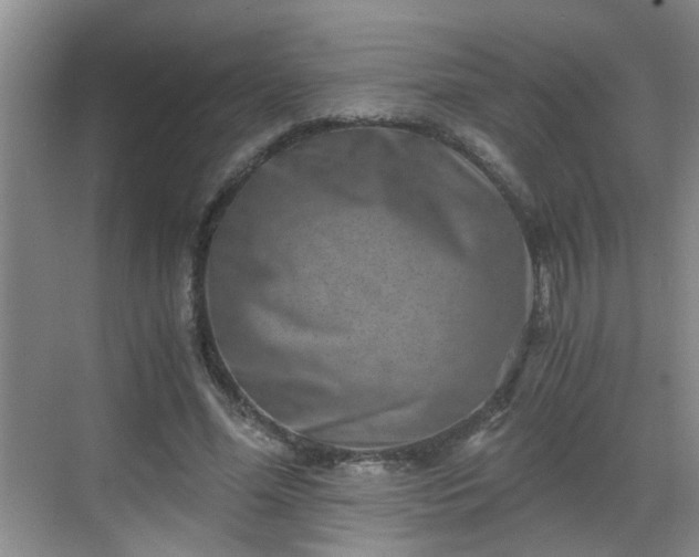 X0000068750588200605051542