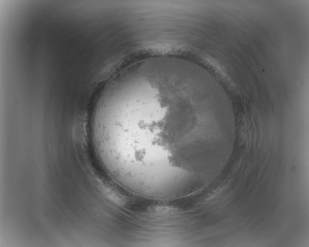 X0000068750590200605051542