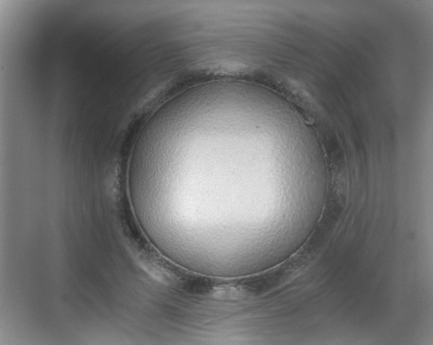 X0000068750591200605051542