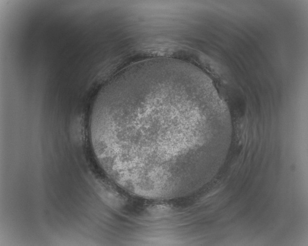 X0000068750594200605051542