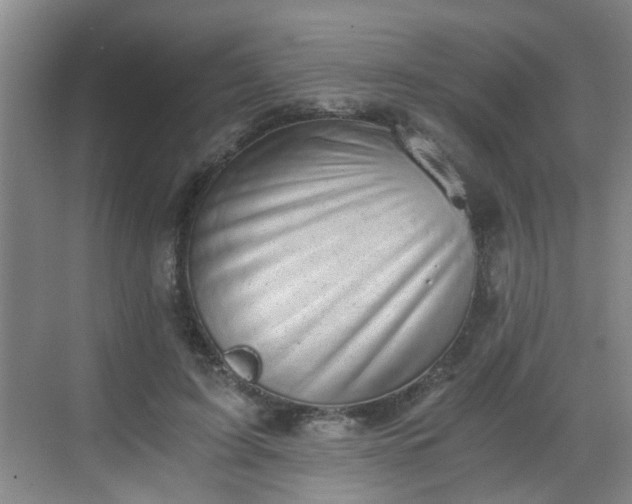 X0000068750595200605051542