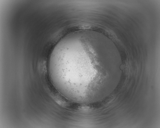 X0000068750598200605051542