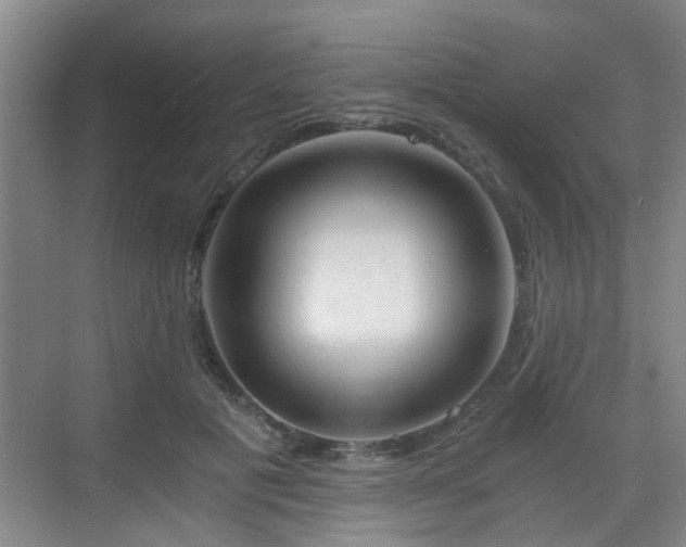 X0000068750601200605051542