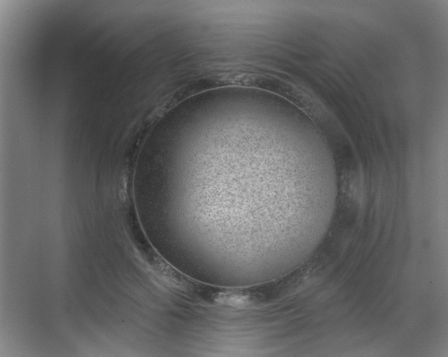 X0000068750602200605051542