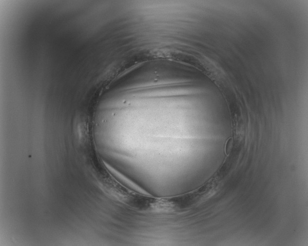 X0000068750603200605051542