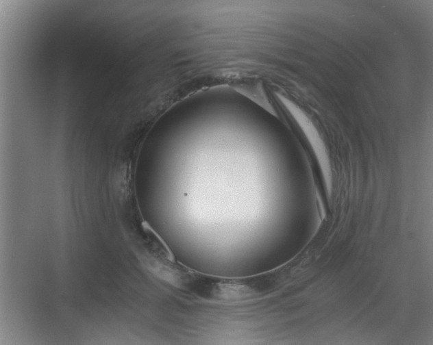 X0000068750605200605051542