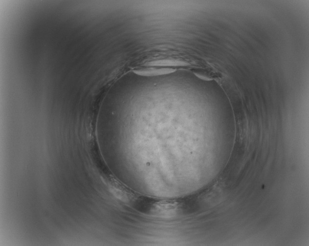 X0000068750606200605051542