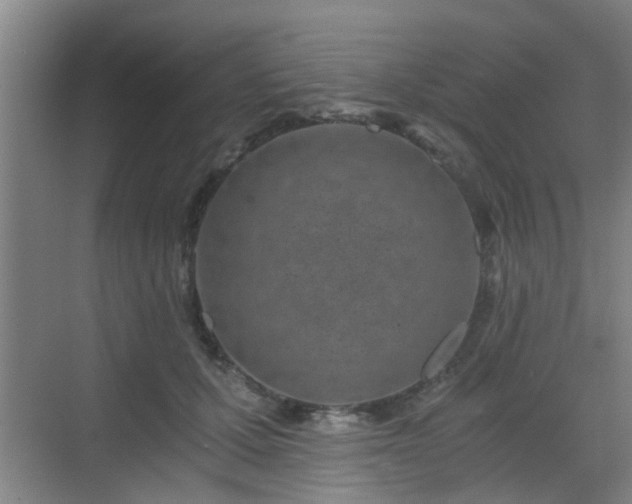 X0000068750607200605051542