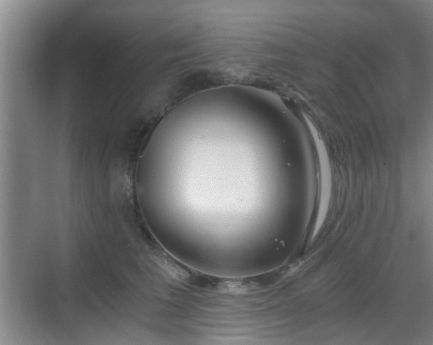 X0000068750613200605051542