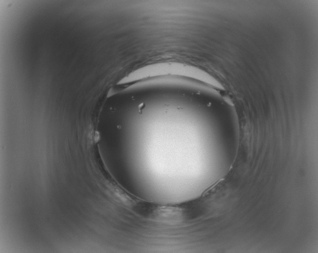 X0000068750617200605051541