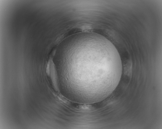 X0000068750618200605051541