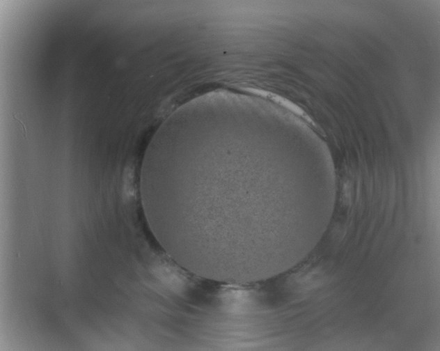 X0000068750620200605051541