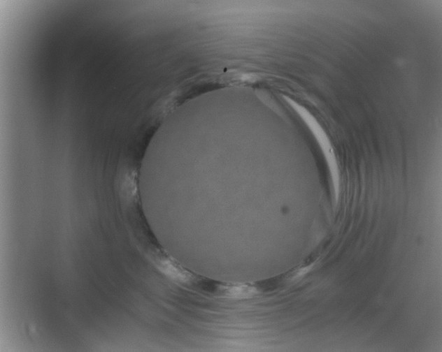 X0000068750621200605051541